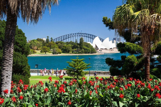 Sydney Shore Excursion Luxury Private 6 Hr Tour Departs From Cruise Terminal - Customer Reviews and Ratings