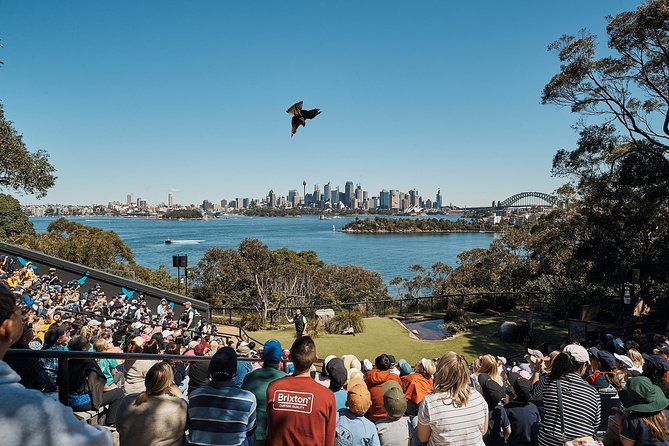 Sydney Taronga Zoos Aussie Backyard Adventure Tour - Cancellation Policy Overview