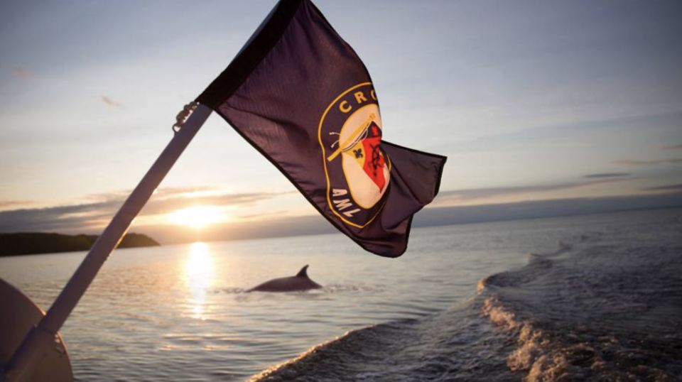 Tadoussac: Whales and Fjord Cruise Morning or Twilight Tour - Tour Description