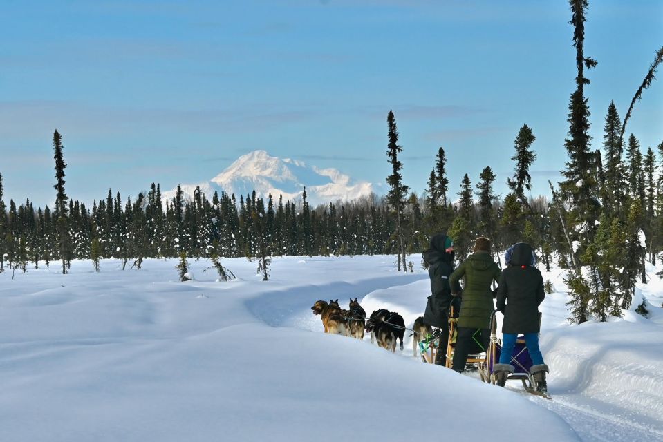 Talkeetna: Winter Dog Sled Tour Morning or Night Mush! - Sled Dogs and Their Bond