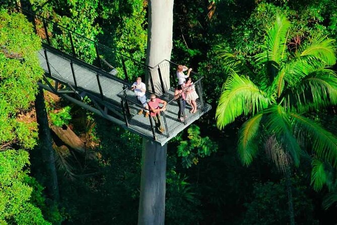 Tamborine Rainforest Skywalk Hop on Hop off Shuttle - Safety and Accessibility Information