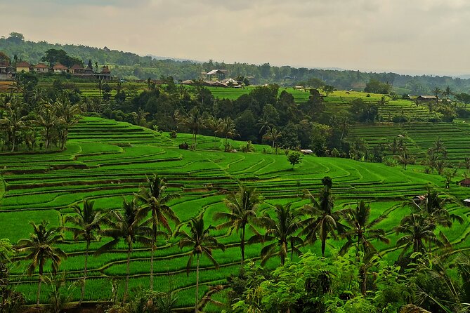 Tanah Lot Private Tour - Customer Reviews