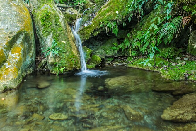 Taroko Wenshan Green Water Trail / Group of 4 - Viator Contact and Pricing