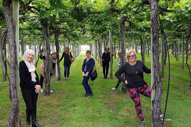 Taste the Valley Wine Tour in Marlborough With Wine Tasting - Reviews