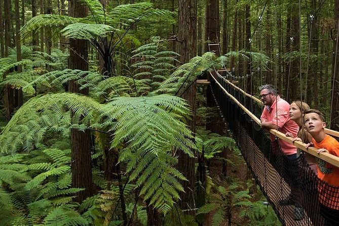 Tauranga - Rotorua: Canopy Tree Walk & Geysers - Shore Excursion - Booking Information