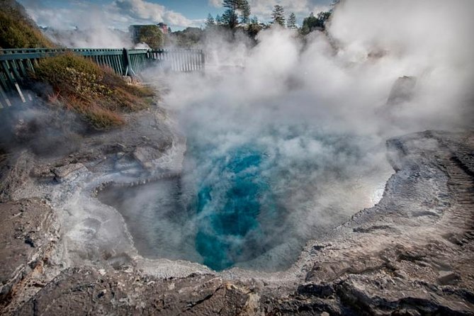 Tauranga - Wia O Tapu Wonderland & Rotorua Geysers: Private Tour - Pricing Information