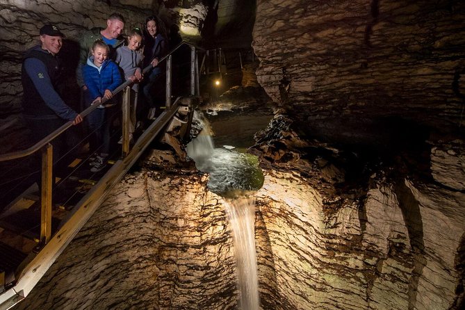 Te Anau Glow Worm Caves Tour - Expectations and Experience Insights