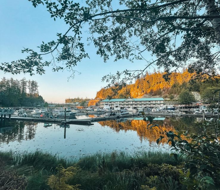 Telegraph Cove: 2 Hour Evening Kayak Tour - Adventure Description