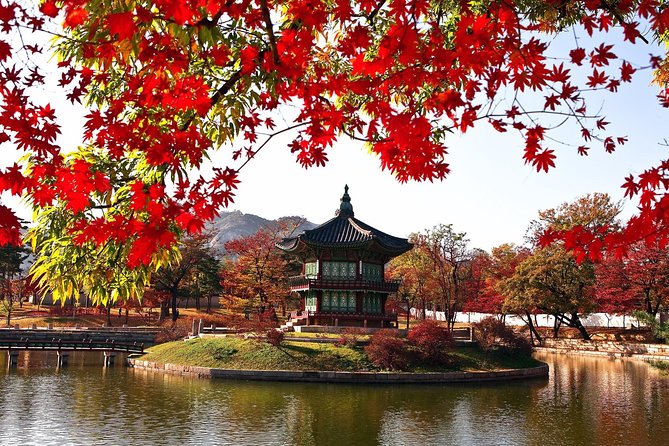 The Beauty of the Korea Fall Foliage Discover 11days 10nights - Transportation Logistics