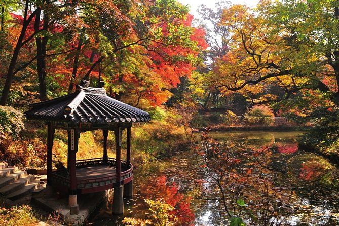 The Beauty of the Korea Fall Foliage Discover 9days 8nights - Accommodation Options for 8 Nights