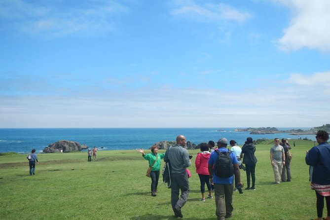 The Best Morning and Michinoku Shiokaze Trail Trekking in the Tanesashi Coast Natural Grassland - Booking Information