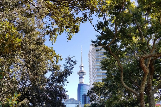 The Best of Auckland City Walking Tour - Tour Duration and Meeting Point