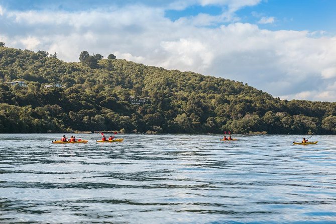 The Maori Carvings Half Day Kayak - Cancellation Policy