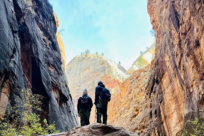 The Narrows: Zion National Park Private Guided Hike - Guide Experience