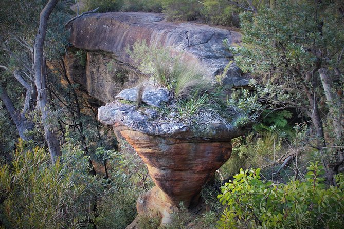 The Other Side of the Blue Mountains - Bushwalk Adventures
