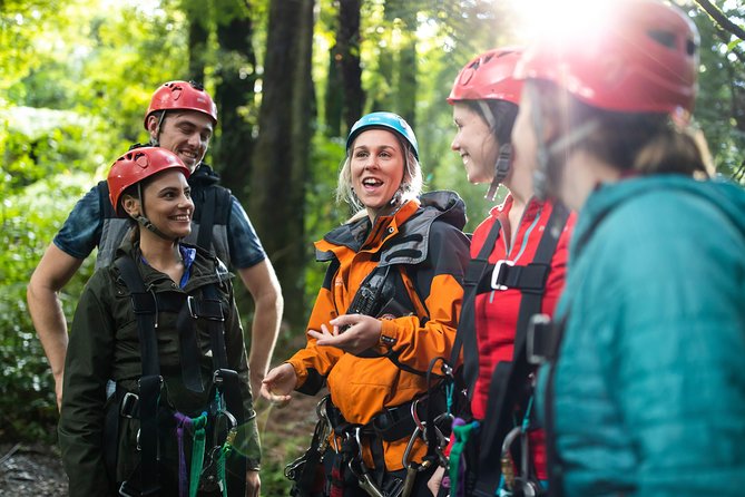 The Ultimate Canopy Zipline Experience Private Tour From Auckland - Reviews