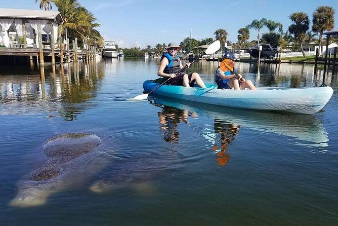 Thousand Island Mangrove Tunnel, Manatee & Dolphin Kayak Tour W/Cocoa Kayaking - Cancellation Policy and Weather Considerations