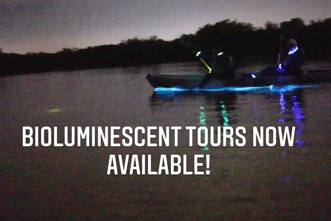 Thousand Islands Bioluminescent Kayak Tour With Cocoa Kayaking! - Reviews and Feedback