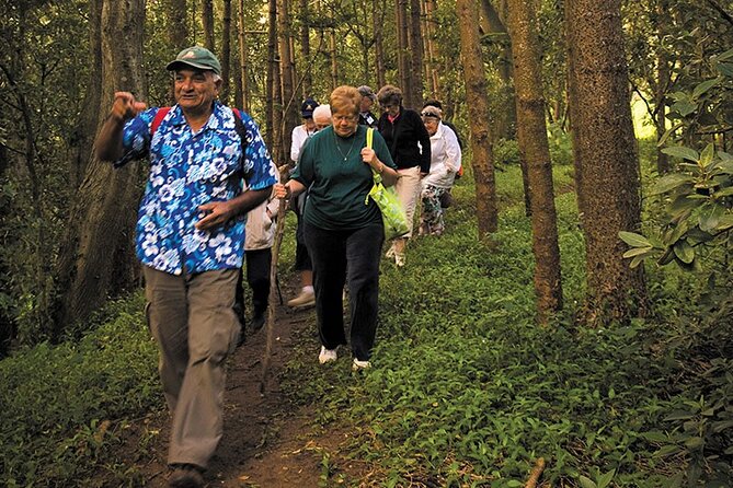 Three-Hour Guided Bushwalk With Breakfast, Cook Monument  - Norfolk Island - Cancellation Policy