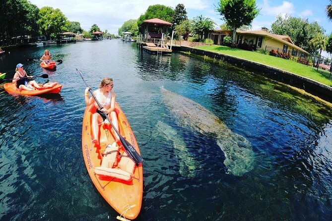 Three Sisters Springs Kayak And Swim Eco-Tour Crystal River - Additional Info