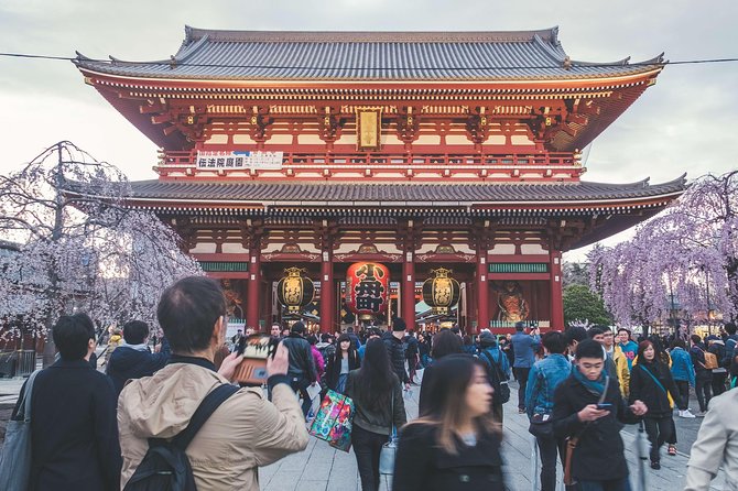 Tokyo Custom Half Day Tour - Transportation Options and Advance Booking