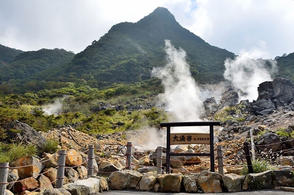 Tokyo: Hakone Fuji Day Tour W/ Cruise, Cable Car, Volcano - Full Tour Description