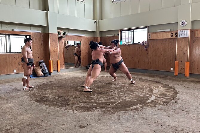 Tokyo Half-Day Sumo Wrestling Practice and Lunch Experience - Sumo Training Observation