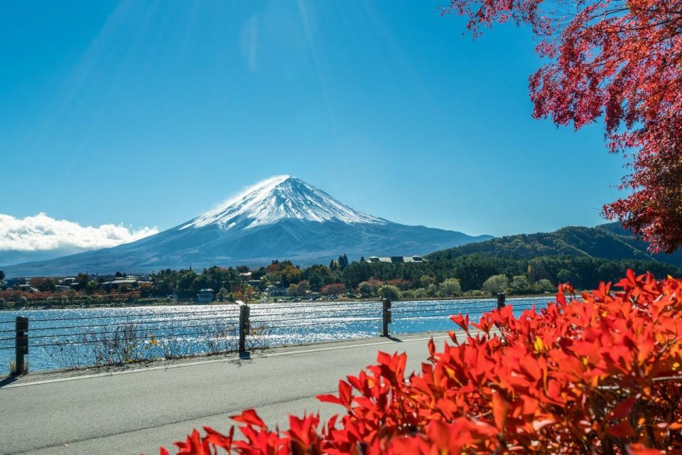 Tokyo: Mt Fuji Area, Lake Ashi, Owakudani, Onsen 1-Day Tour - Important Reservation Information