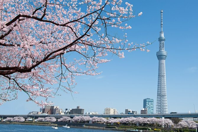 Tokyo Private Customize Tour With Optional English Guide - Additional Information