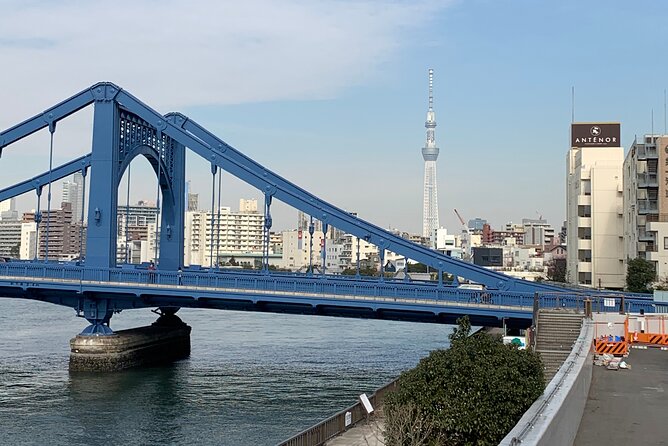 Tokyo Shitamachi Tour (Old Town Walk) - Booking Information