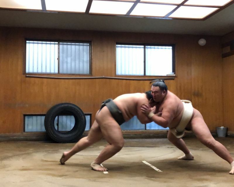 Tokyo: Sumo Morning Practice Tour in Ryogoku - Experience Highlights
