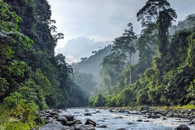 TOUR PACKAGE (Jungle Trekking, Taxi, Room) 4 DAYS 3 NIGHTS in BUKIT LAWANG - Common questions