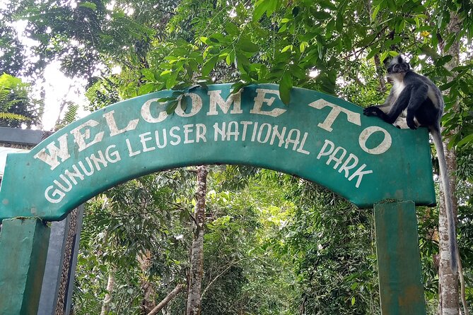 TOUR PACKAGE (Taxi, Room, Jungle Trekking) 3 Days in BUKIT LAWANG - Common questions