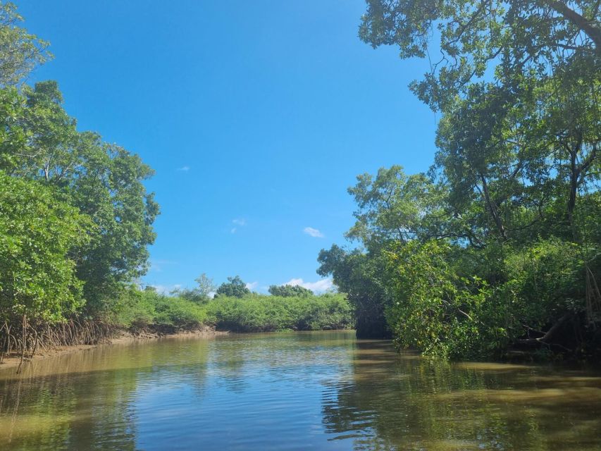 Transfer From Barreirinhas to Parnaiba - Inclusions