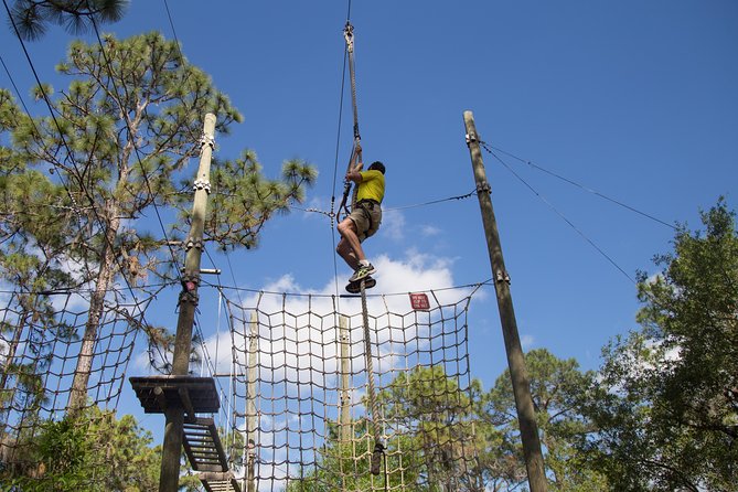 TreeUmph Adventure Course - Inclusions and Rentals
