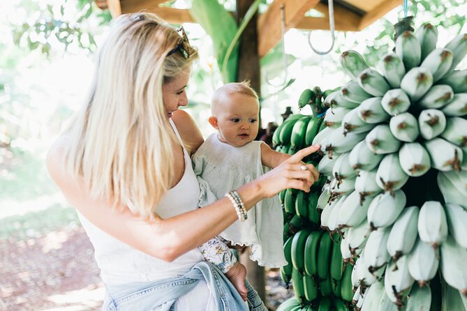 Tropical Fruit World Farm Full Tour - Visitor Experiences and Feedback