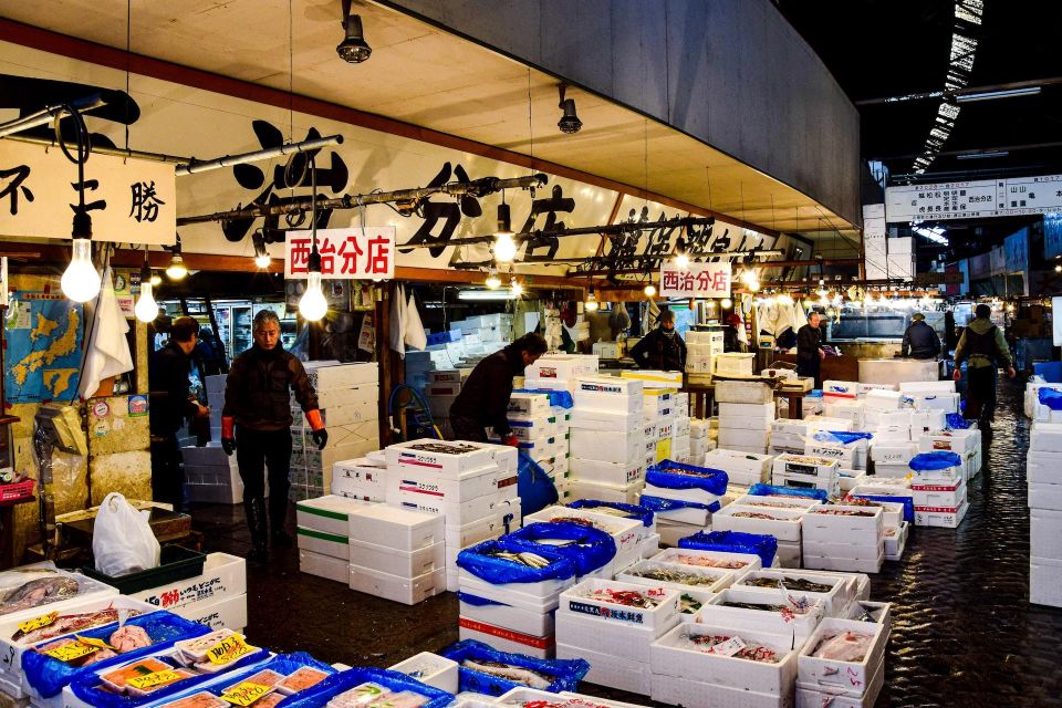 Tsukiji Fish Market Tour - Tuna Auction Viewing