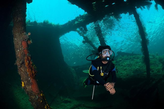 Tulamben Diving USS Liberty Shipwreck Scuba Dive - Customer Experiences