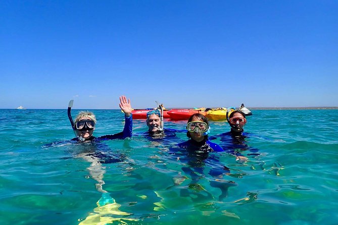 Turtle Tour - Ningaloo Reef Half Day Sea Kayak and Snorkel Tour - Customer Reviews and Testimonials