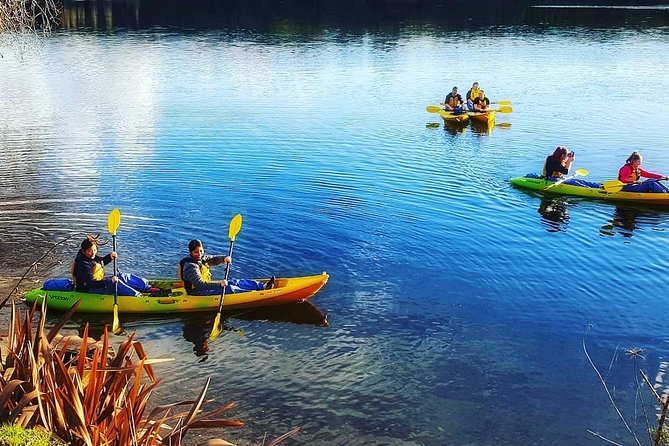 Twilight Kayak Glow Worm Tour - Cancellation Policy