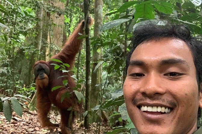 Two Days Orangutans Adventure in Gunung Leuser - Accommodation Details