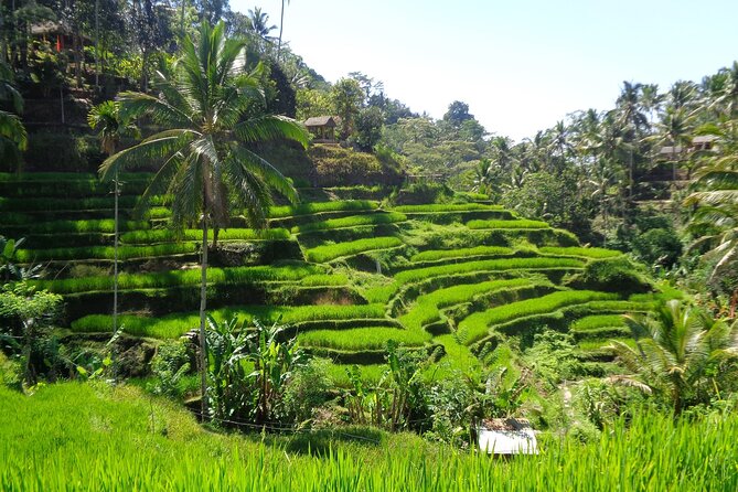 Ubud Costumize Tours - Refund Details