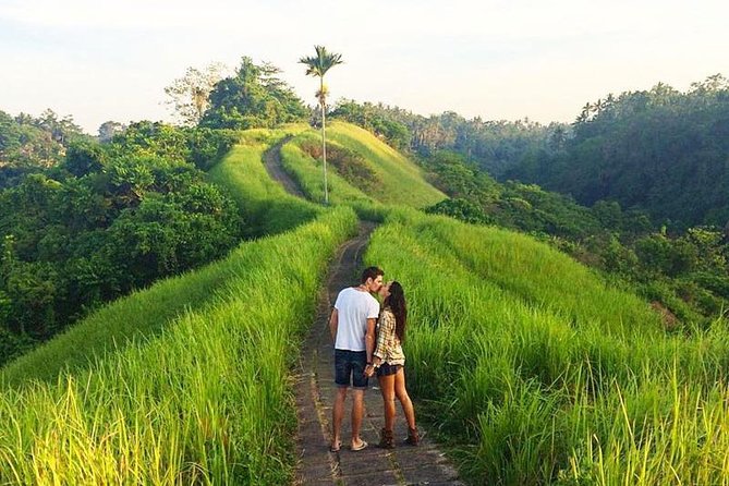 Ubud Countryside Tour: Campuhan Ridge Walk and Rice Terrace - Tour Itinerary