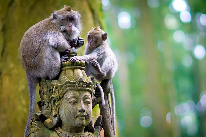 Ubud Monkey Forest and White Herons Colony Half-Day Tour - Safety Briefing and Monkey Behavior
