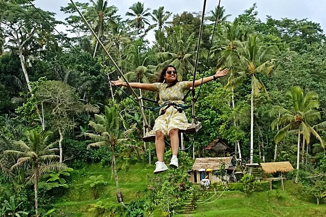Ubud Private Sightseeing Day Trip With Onboard Wi-Fi  - Nusa Dua - Additional Information