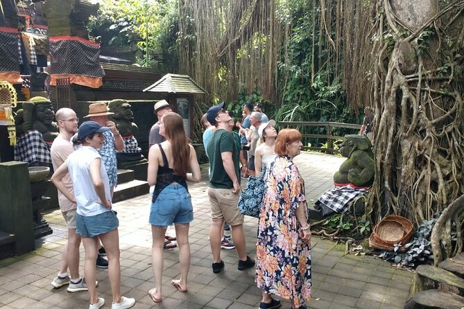 Ubud Private Tour All Inclusive. - Additional Information