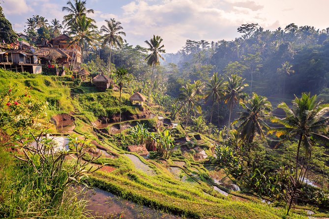 Ubud Small Group Tour: Monkey Forest, Tegalalang Rice Terraces and More - Itinerary Overview
