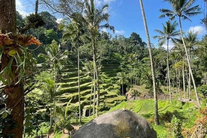 Ubud Tour by Scooter - Safety Tips and Guidelines