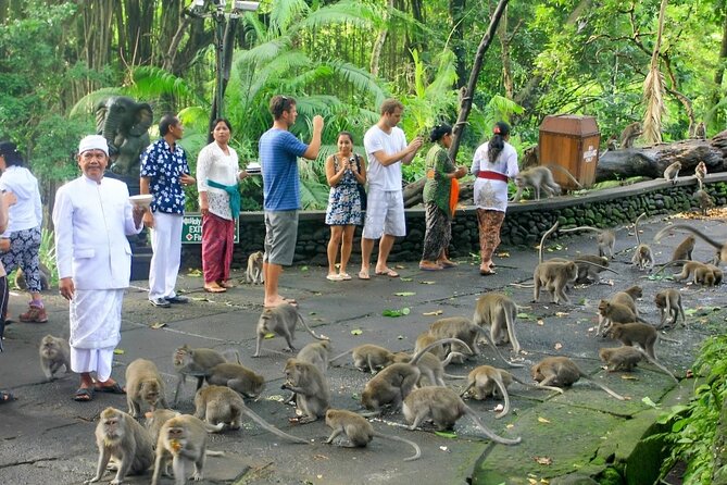 Ubud Tour With Sacred Monkey Forest Sanctuary - Waterfall - Rice Terrace - Discovering the Waterfall