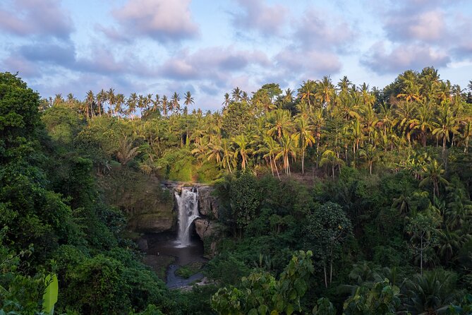 Ubud Waterfall, Rice Terraces, and Swing Explore - Insider Tips for Your Visit